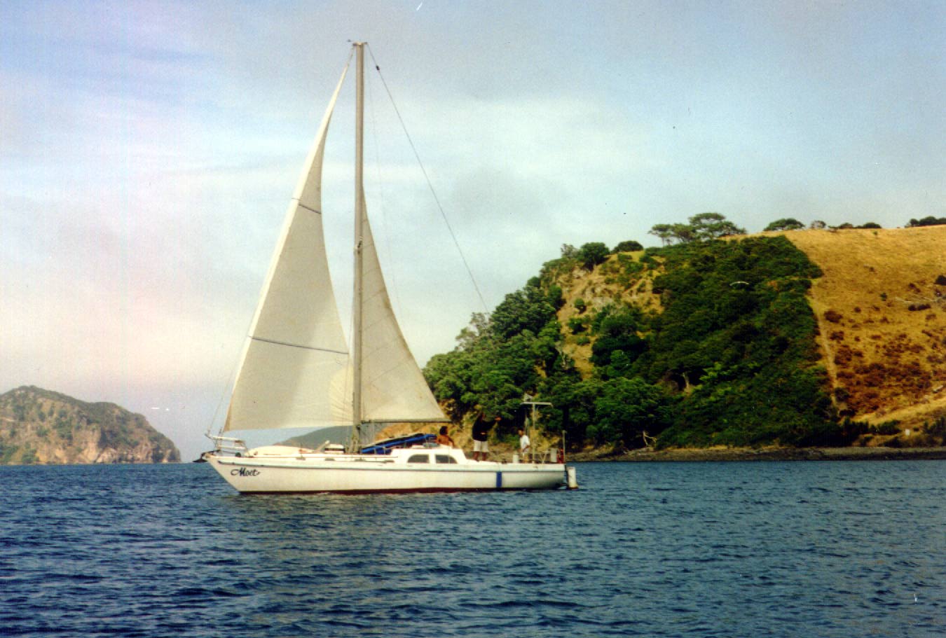 Moet in Great Barrier Island, New Zealand